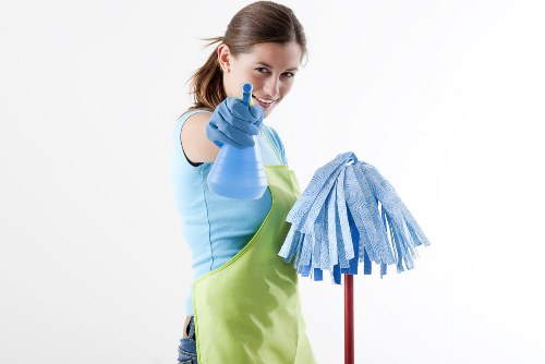 Professional oven cleaning service for homes in Islington