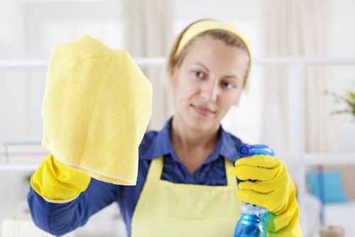 Professional window cleaning for Islington homes and flats