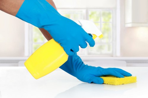 Professional pet stain odour removal for an Islington carpeted room