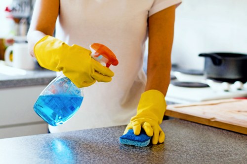 Cleaning professional preparing equipment with safety focus in Islington