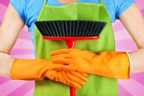 Regular cleaning visit for a flat near Angel in Islington