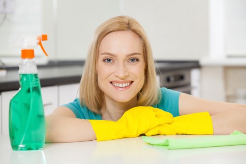Local sofa deep cleaning for a North London flat