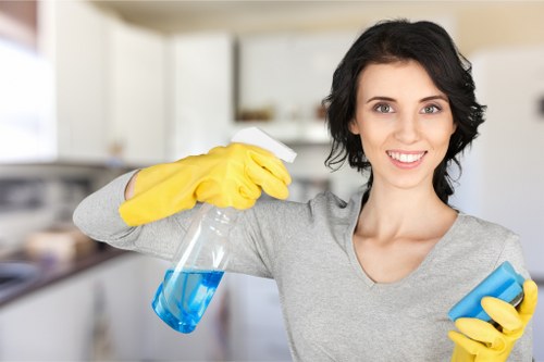 Detailed kitchen and bathroom cleaning before moving in
