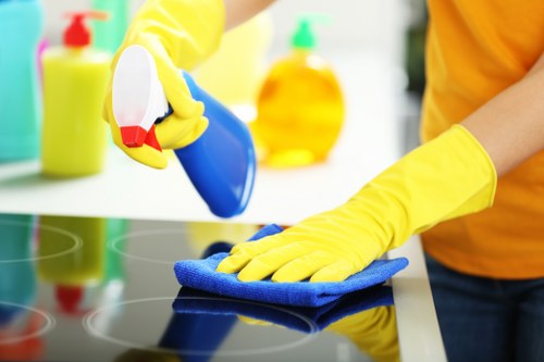 Local cleaners carrying out a detailed deep clean in an Islington property