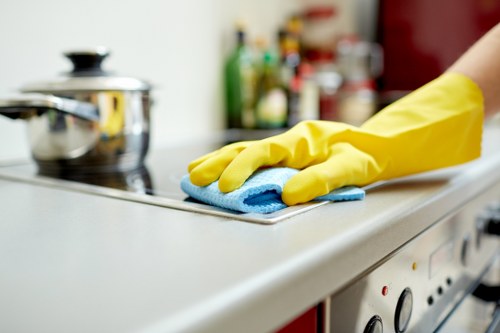 SSL protected cleaning service payment screen for Islington