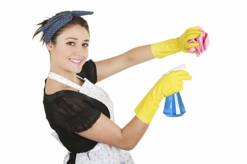Window cleaning service for period properties and terraces