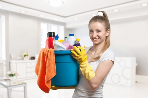 Professional cleaning tasks for a shared workplace
