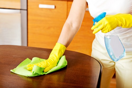 Upholstery cleaning service for flats and homes in Islington