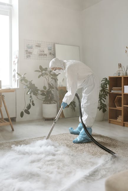 https://cleaners-islington.com/blog/carpet-cleaning-canonbury-essex-road-islington/